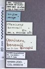 Etiketten zu Ctenicera bonomii (Binaghi, 1940) (NHMW-ZOO-COL-0008318)